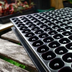 Meyer Uttryckare Till 150 Celler -Elho Garden Shop 150 cell uttryckare i pluggbratte