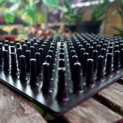 Meyer Uttryckare Till 150 Celler -Elho Garden Shop 150 cell uttryckare piggar