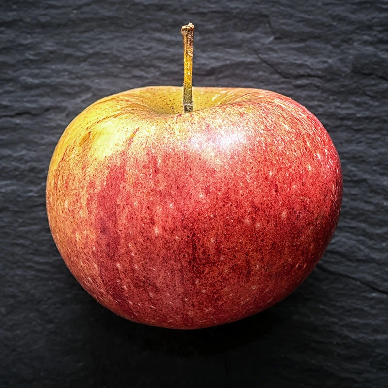 Äpple 'Cox Pomona' 4 Äpple 'Cox Pomona' - Image 2