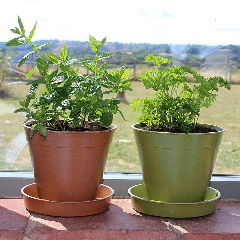 Bambukruka 15 Cm Terrakotta, 5-pack 4 Bambukruka 15 Cm Terrakotta, 5-pack - Image 2