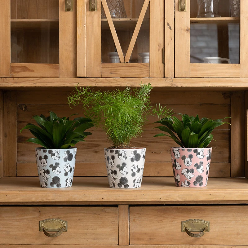 Eco Bambukruka 3-set Mickey, Färgmix 4 Eco Bambukruka 3-set Mickey, Färgmix - Image 2