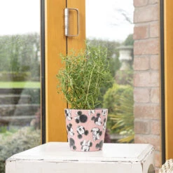 Eco Bambukruka 3-set Mickey, Färgmix 9 Eco Bambukruka 3-set Mickey, Färgmix -Elho Garden Shop eco bambukruka 3 set mickey rosa disney 1