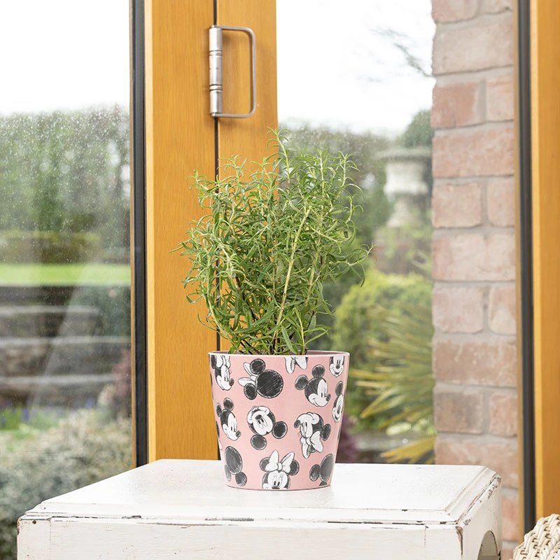 Eco Bambukruka 3-set Mickey, Färgmix 5 Eco Bambukruka 3-set Mickey, Färgmix - Image 3