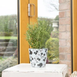 Eco Bambukruka 3-set Mickey, Färgmix 11 Eco Bambukruka 3-set Mickey, Färgmix -Elho Garden Shop eco bambukruka mickey bla 1