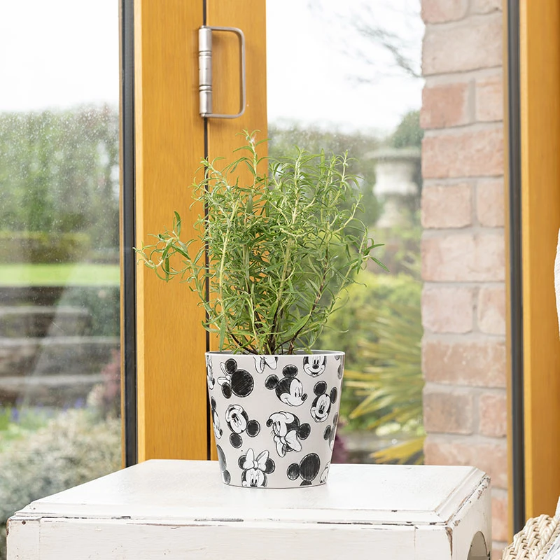 Eco Bambukruka 3-set Mickey, Grå 4 Eco Bambukruka 3-set Mickey, Grå - Image 2