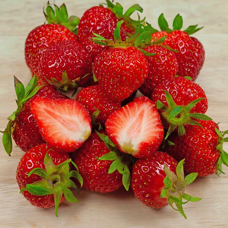 Jordgubbe 'Sengana' 10-pack 4 Jordgubbe 'Sengana' 10-pack - Image 2