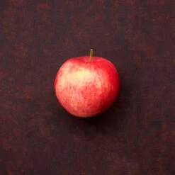 Äpple 'Mantet' -Elho Garden Shop krukodlad apple mantet miljobild 1