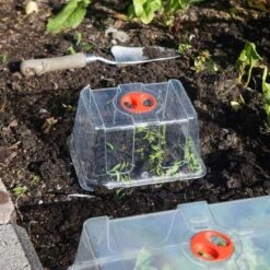 Minidrivhus Liten Med Hål, 3-pack 9 Minidrivhus Liten Med Hål, 3-pack -Elho Garden Shop kupa till minidrivhus liten i koksland wh