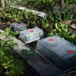 Kupa Till Minidrivhus, XL 7 Kupa Till Minidrivhus, XL -Elho Garden Shop kupor till minidrivhus i koksland wh1