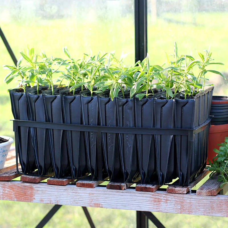 Maxi Rootrainers, 40 Celler 3 Maxi Rootrainers, 40 Celler