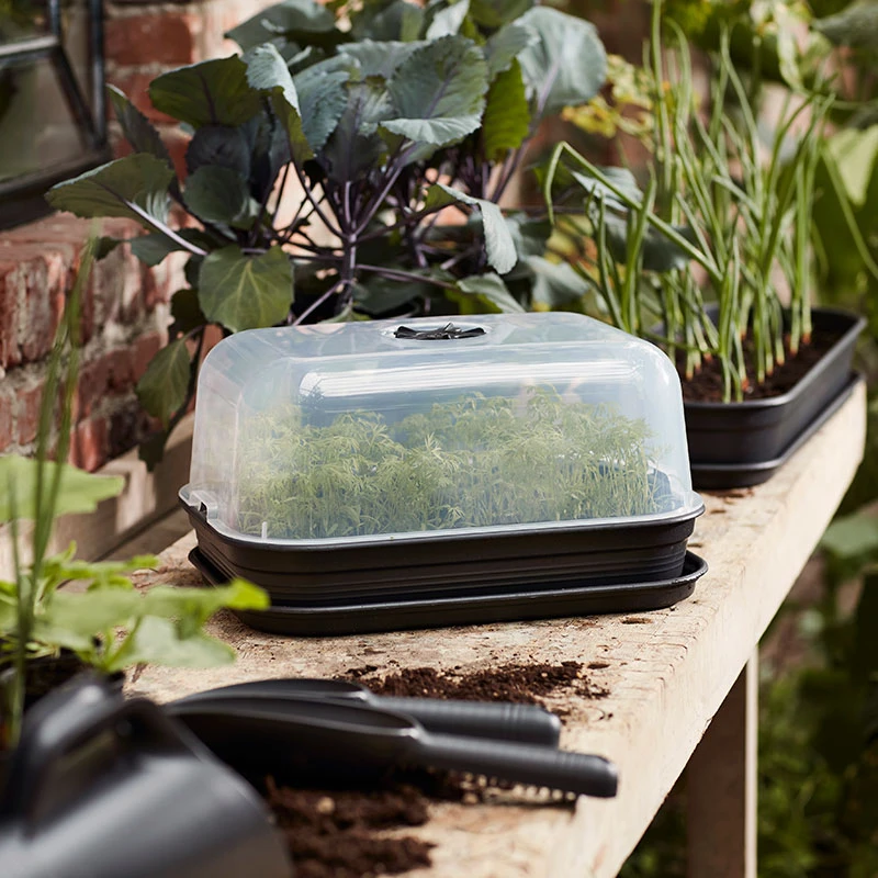 Elho Kupa Green Basics, Medium 4 Elho Kupa Green Basics, Medium - Image 2