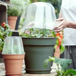 Elho Minidrivhus, Green Basics, Grön, 30 Cm