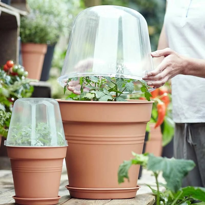 Elho Minidrivhus, Green Basics, Terrakotta, 30 Cm 3 Elho Minidrivhus, Green Basics, Terrakotta, 30 Cm