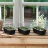 Minidrivhus Mini, Svart 3-pack -Elho Garden Shop minidrivhus high dome tre svart