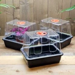 Minidrivhus Liten Med Hål, 3-pack