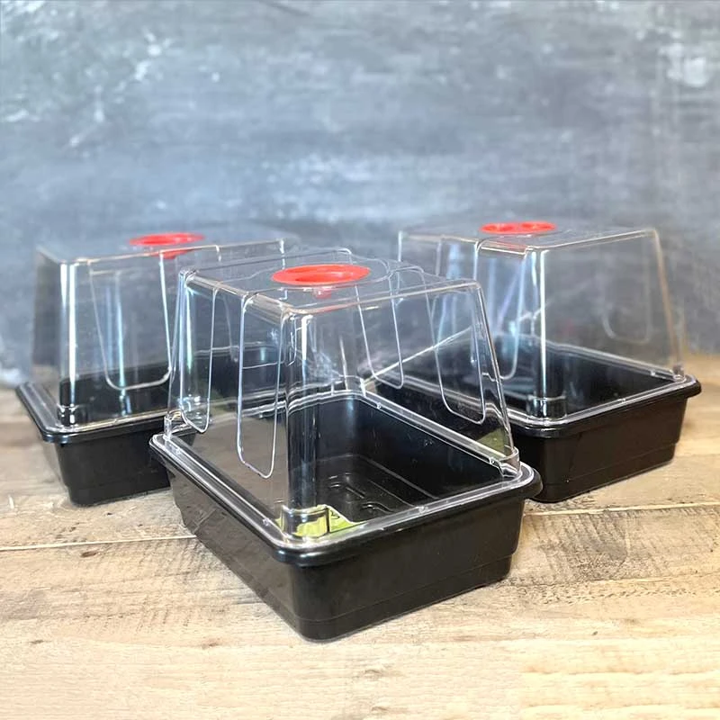 Minidrivhus Liten Med Hål, 3-pack 4 Minidrivhus Liten Med Hål, 3-pack - Image 2