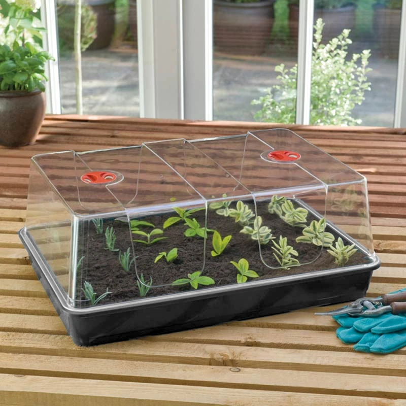 Minidrivhus XL, Svart 3 Minidrivhus XL, Svart