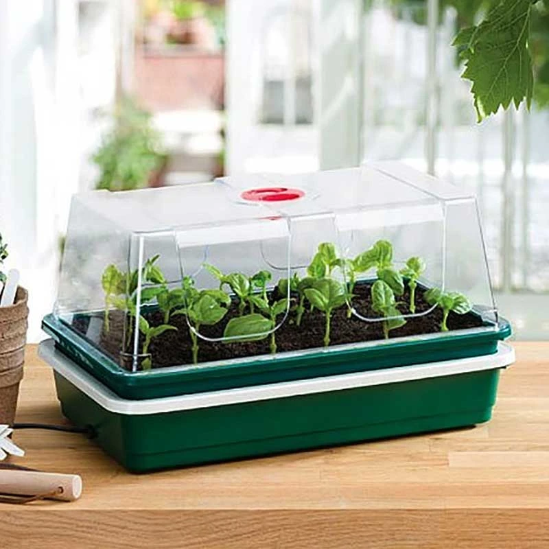 Miniväxthus Med Undervärme 2 Miniväxthus Med Undervärme