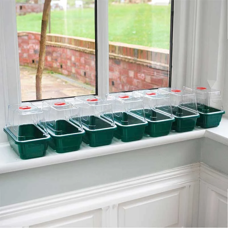 Minidrivhus Mini 7-pack, Grön 3 Minidrivhus Mini 7-pack, Grön