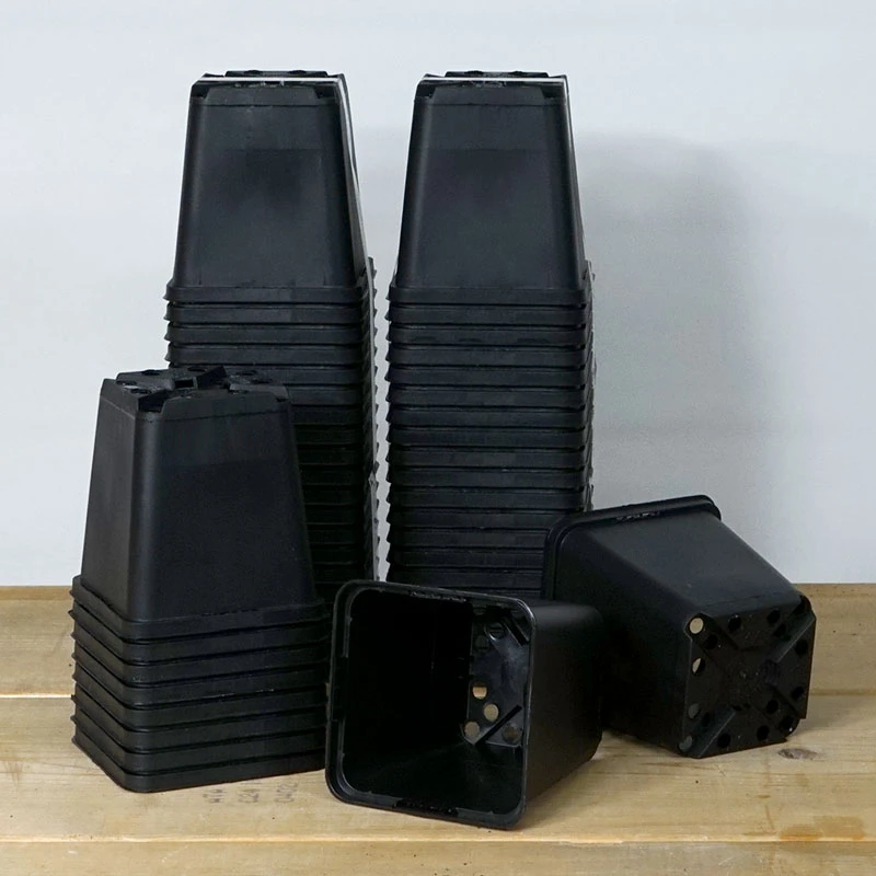 Meyer Perennkruka 9 X 9 Cm, 50st 3 Meyer Perennkruka 9 X 9 Cm, 50st