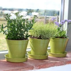 Bambukruka 15 Cm Salviagrön, 5-pack 6 Bambukruka 15 Cm Salviagrön, 5-pack -Elho Garden Shop planteringskrukor och fat i bambu salviagron