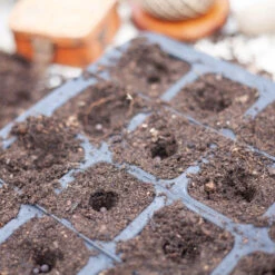 Pluggbrätte Av Naturgummi 20 Celler, Delbart -Elho Garden Shop pluggbratte i naturgummi 20 cell 2