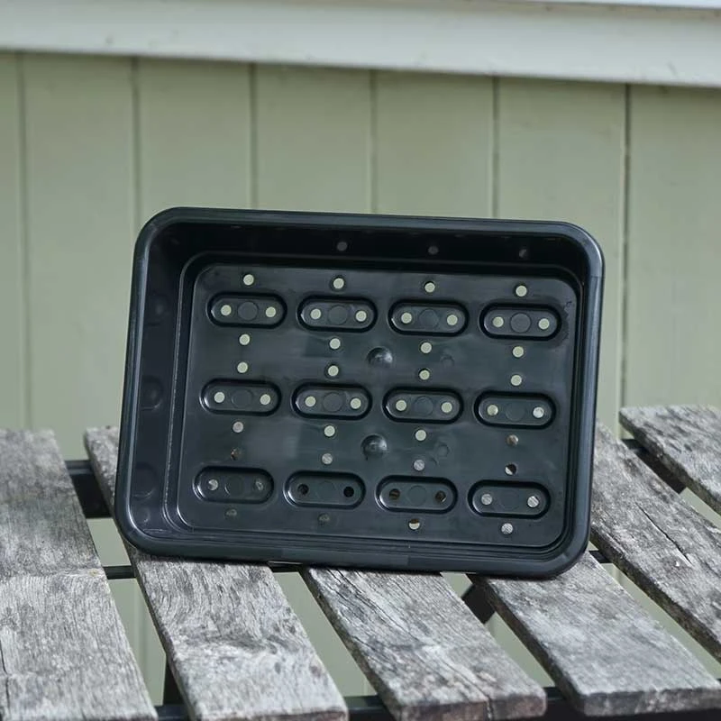 Minidrivhus Liten Med Hål, 3-pack 5 Minidrivhus Liten Med Hål, 3-pack - Image 3