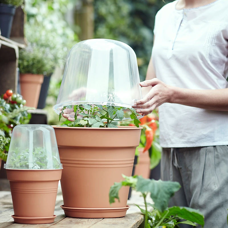 Elho Kupa Till Kruka Green Basics, 30 Cm 4 Elho Kupa Till Kruka Green Basics, 30 Cm - Image 2