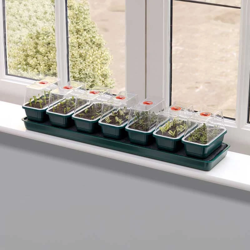 Miniväxthus Med Bevattning För Fönsterbrädan - 7 Kupor 3 Miniväxthus Med Bevattning För Fönsterbrädan - 7 Kupor