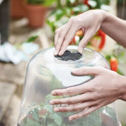 Elho Kupa Till Kruka Green Basics, 30 Cm 7 Elho Kupa Till Kruka Green Basics, 30 Cm -Elho Garden Shop ventilation pa kupa green basics 30 cm 4