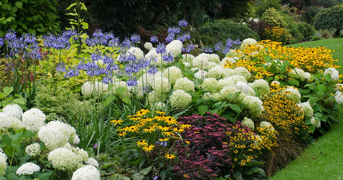 Elho Garden Shop 2 Elho Garden Shop -Elho Garden Shop perenner article