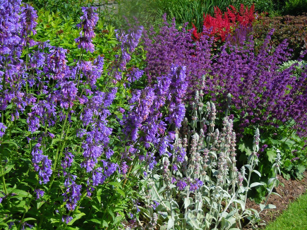 Elho Garden Shop 3 Elho Garden Shop -Elho Garden Shop prunkande perenner